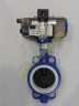 Pneumatic Actuated Butterfly Valve